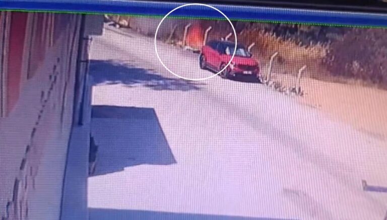 Buca’daki orman yangınının çıkış anı kamerada Buca’daki orman yangınının çıkış anı kamerada