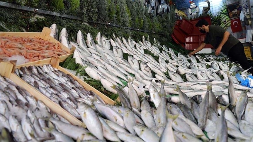 Çinekop, istavrit ya da palamut değil! Sağlığa en faydalı 3 balık bakın neymiş Çinekop, istavrit ya da palamut değil! Sağlığa en faydalı 3 balık bakın neymiş