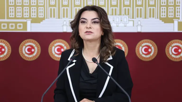 DEM Parti: Her şeyi özelleştiren iktidar orman yangınların en büyük sorumlusudur DEM Parti: Her şeyi özelleştiren iktidar orman yangınların en büyük sorumlusudur