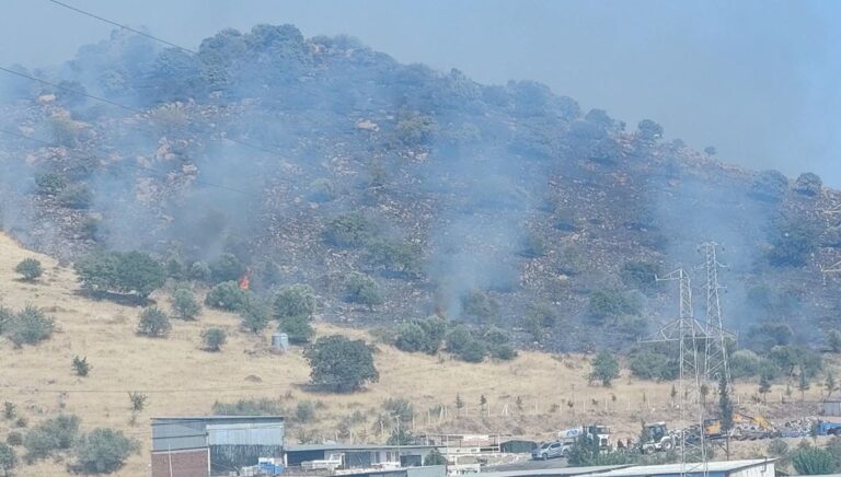 Dikili’de orman yangını: Çanakkale yolu ulaşıma kapatıldı Dikili’de orman yangını: Çanakkale yolu ulaşıma kapatıldı