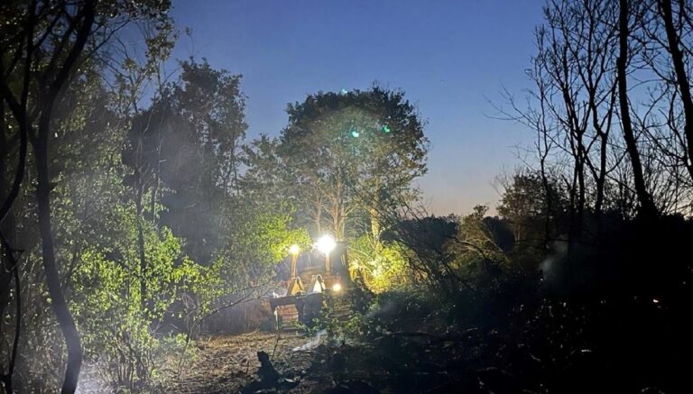 Edirne’deki orman yangını söndürüldü Edirne’deki orman yangını söndürüldü