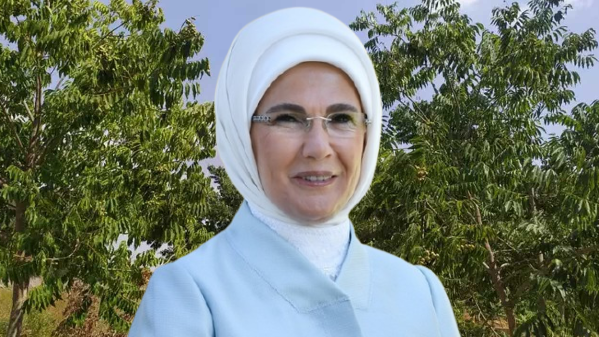 Emine Erdoğan istedi, Hindistan’dan getirilip Türkiye’ye ekildi: Meyve vermesi tam 5 yıl sürdü Emine Erdoğan istedi, Hindistan’dan getirilip Türkiye’ye ekildi: Meyve vermesi tam 5 yıl sürdü