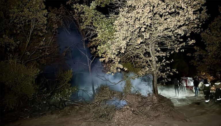 Gebze’deki orman yangını kontrol altında Gebze’deki orman yangını kontrol altında