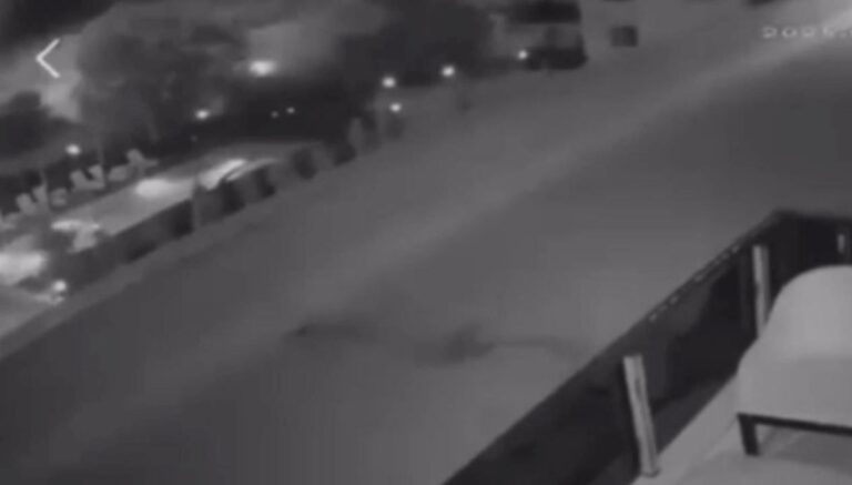 Havai fişek atıp yangın çıkaran 2 kişi, 100’er adet ağaç dikecek Havai fişek atıp yangın çıkaran 2 kişi, 100’er adet ağaç dikecek