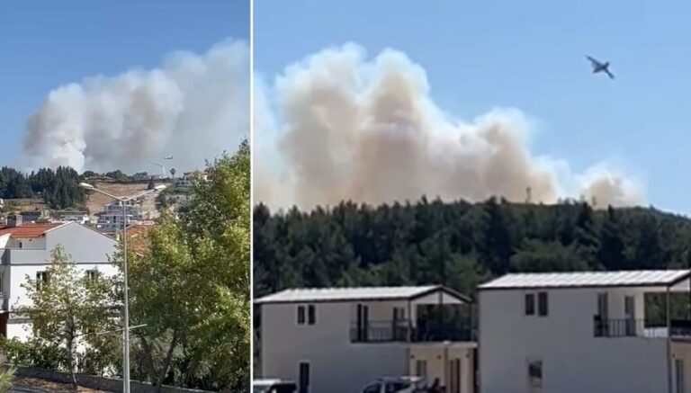 İzmir Urla ve Aliağa’da orman yangınları İzmir Urla ve Aliağa’da orman yangınları