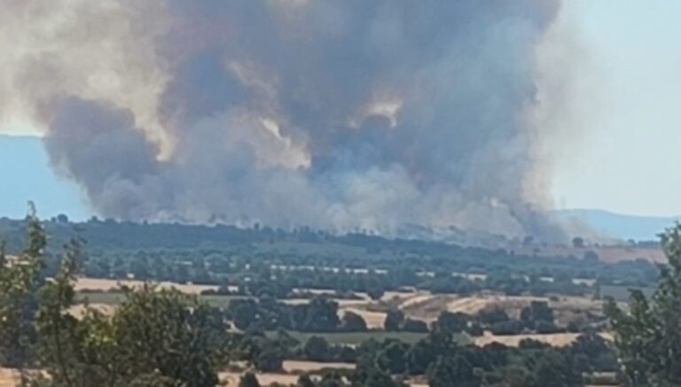 Komşudaki orman yangını Edirne’yi dumana boğdu Komşudaki orman yangını Edirne’yi dumana boğdu