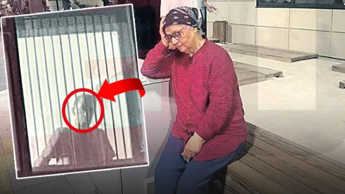 Merhametiniz yok mu! Merhametiniz yok mu!
