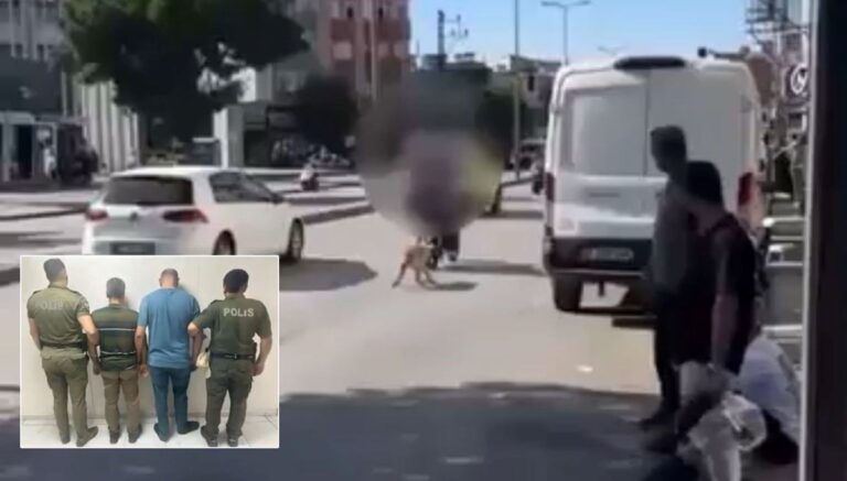 Motosikletin arkasına bağladıkları köpeği sürükleyerek götürdüler Motosikletin arkasına bağladıkları köpeği sürükleyerek götürdüler