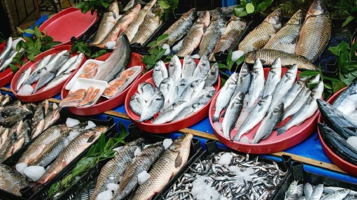 Ne mezgit ne de kalkan: Sofraların şampiyonu balık belli oldu Ne mezgit ne de kalkan: Sofraların şampiyonu balık belli oldu