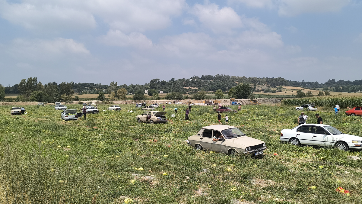 Satamayınca halka açtı, binlerce kişi akın akın tarlaya koştu Satamayınca halka açtı, binlerce kişi akın akın tarlaya koştu