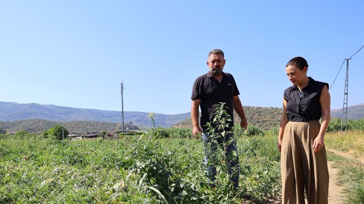 Satılmayınca kilosunu 1 TL yaptılar Satılmayınca kilosunu 1 TL yaptılar