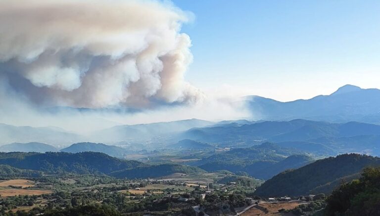 Suriye’deki orman yangını Hatay Yayladağı’na ulaştı Suriye’deki orman yangını Hatay Yayladağı’na ulaştı