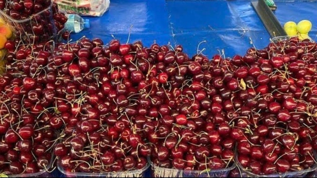 Tarımda iktidar sınıfta kaldı, kiraz zengine kaldı Tarımda iktidar sınıfta kaldı, kiraz zengine kaldı