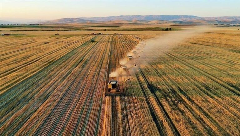 Tarımsal destekleme ödemeleri sorgulama ekranı 2025: Temmuz ayı çiftçi destek ödemeleri yattı mı, ne zaman yatacak? Tarımsal destekleme ödemeleri sorgulama ekranı 2025: Temmuz ayı çiftçi destek ödemeleri yattı mı, ne zaman yatacak?