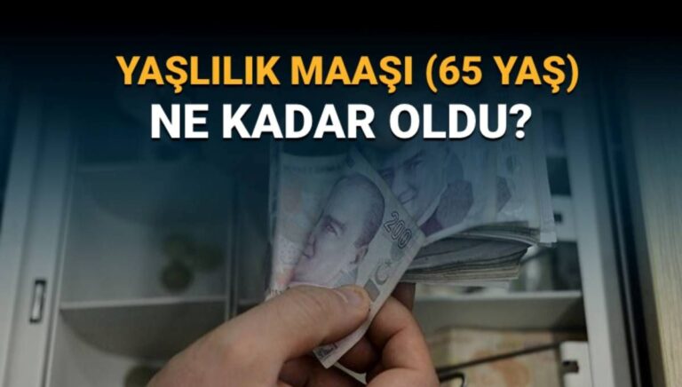 Temmuz zammıyla 65 yaş aylığı ne kadar oldu? Yaşlılık maaşında güncel rakam Temmuz zammıyla 65 yaş aylığı ne kadar oldu? Yaşlılık maaşında güncel rakam