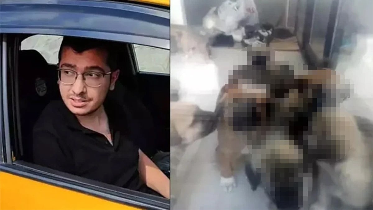‘Türkiye tarihinin gördüğü ilk seri hayvan katili’ Sapık doktorun ifadeleri ‘pes’ dedirtti! ‘Türkiye tarihinin gördüğü ilk seri hayvan katili’ Sapık doktorun ifadeleri ‘pes’ dedirtti!