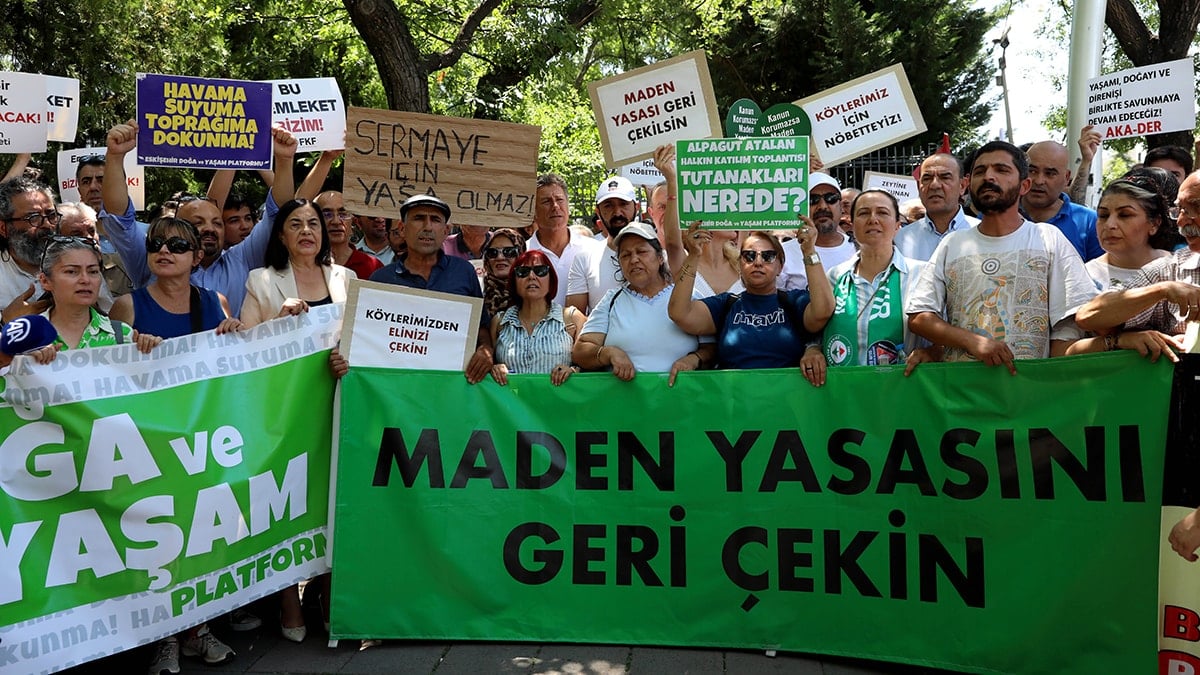 Zeytinlikler 10 günlüğüne kurtuldu Zeytinlikler 10 günlüğüne kurtuldu