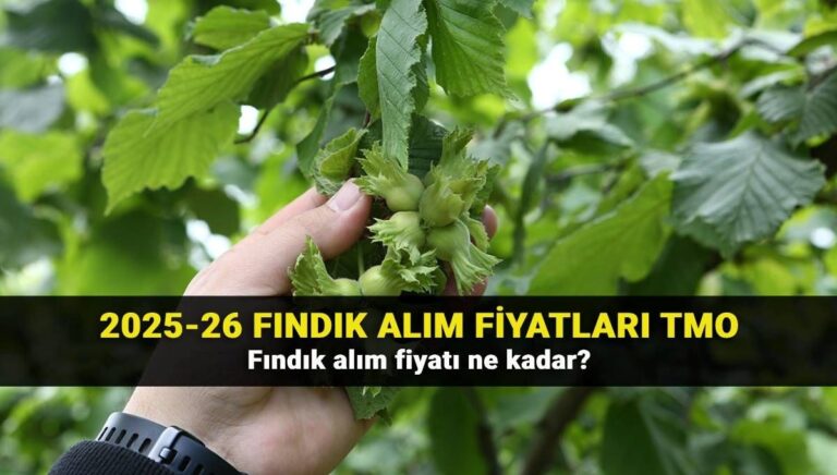 2025 fındık fiyatları belli oldu mu? Fındık fiyatlarında son durum 2025 fındık fiyatları belli oldu mu? Fındık fiyatlarında son durum