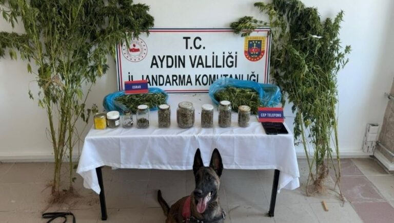 Aydın’da uyuşturucu operasyonu Aydın’da uyuşturucu operasyonu