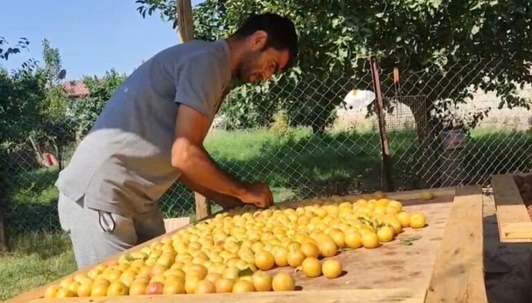 Güneşte kurutuluyor, pazarda satılıyor: Kış hazırlıkları başladı Güneşte kurutuluyor, pazarda satılıyor: Kış hazırlıkları başladı