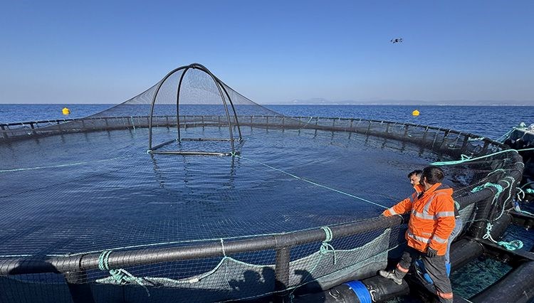 Hatay’dan Avrupa’ya balık ihracatı Hatay’dan Avrupa’ya balık ihracatı