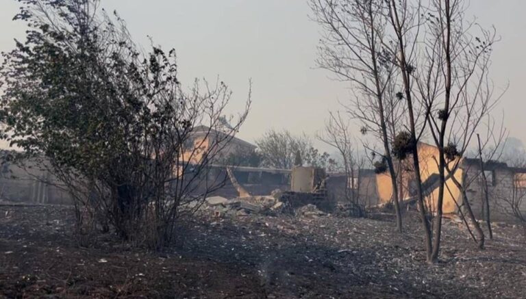 Kocaeli, İzmir, Afyonkarahisar ve Karaman’da orman yangını: Bazı evler küle döndü Kocaeli, İzmir, Afyonkarahisar ve Karaman’da orman yangını: Bazı evler küle döndü