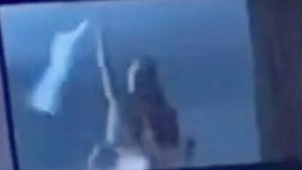 Perdelerini kapatmayı unutan çiftin rezil olduğu anlar kaydedildi Perdelerini kapatmayı unutan çiftin rezil olduğu anlar kaydedildi