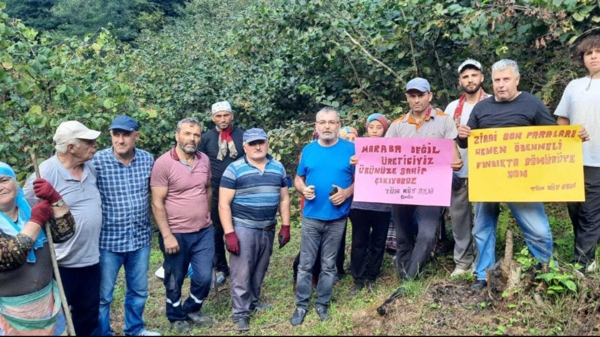 Tüm Köy Sen Ordu Şubesi: Fındık fiyatı en az 300 TL olmalı Tüm Köy Sen Ordu Şubesi: Fındık fiyatı en az 300 TL olmalı