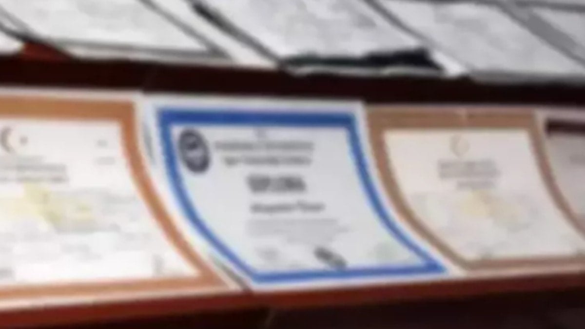 Türkiye sahte diploma skandalını sadece konuşuyor ama dolandırıcılar satışa zamlı devam ediyor Türkiye sahte diploma skandalını sadece konuşuyor ama dolandırıcılar satışa zamlı devam ediyor
