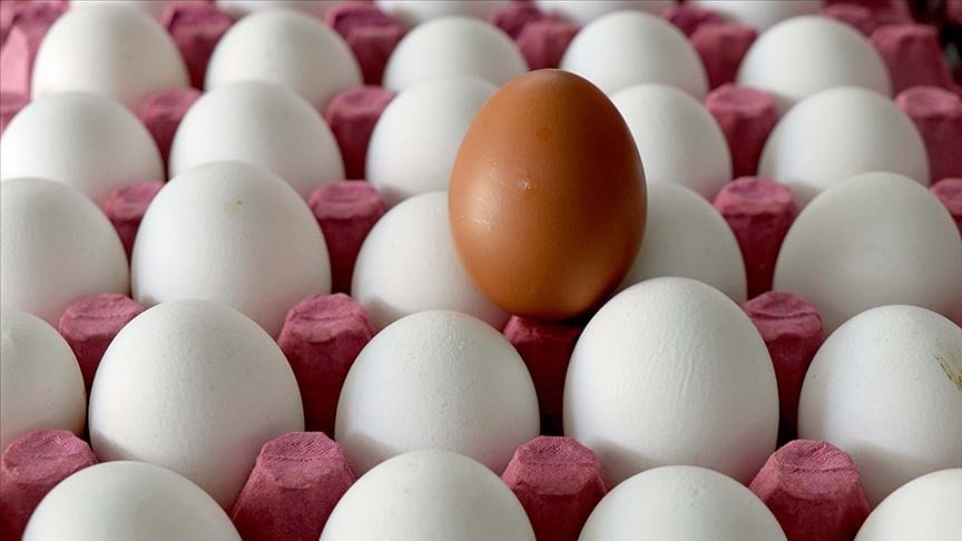 Yumurta fiyatları sert düştü: Marketlere yansıması an meselesi Yumurta fiyatları sert düştü: Marketlere yansıması an meselesi